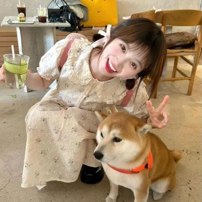 职场小烈第五季